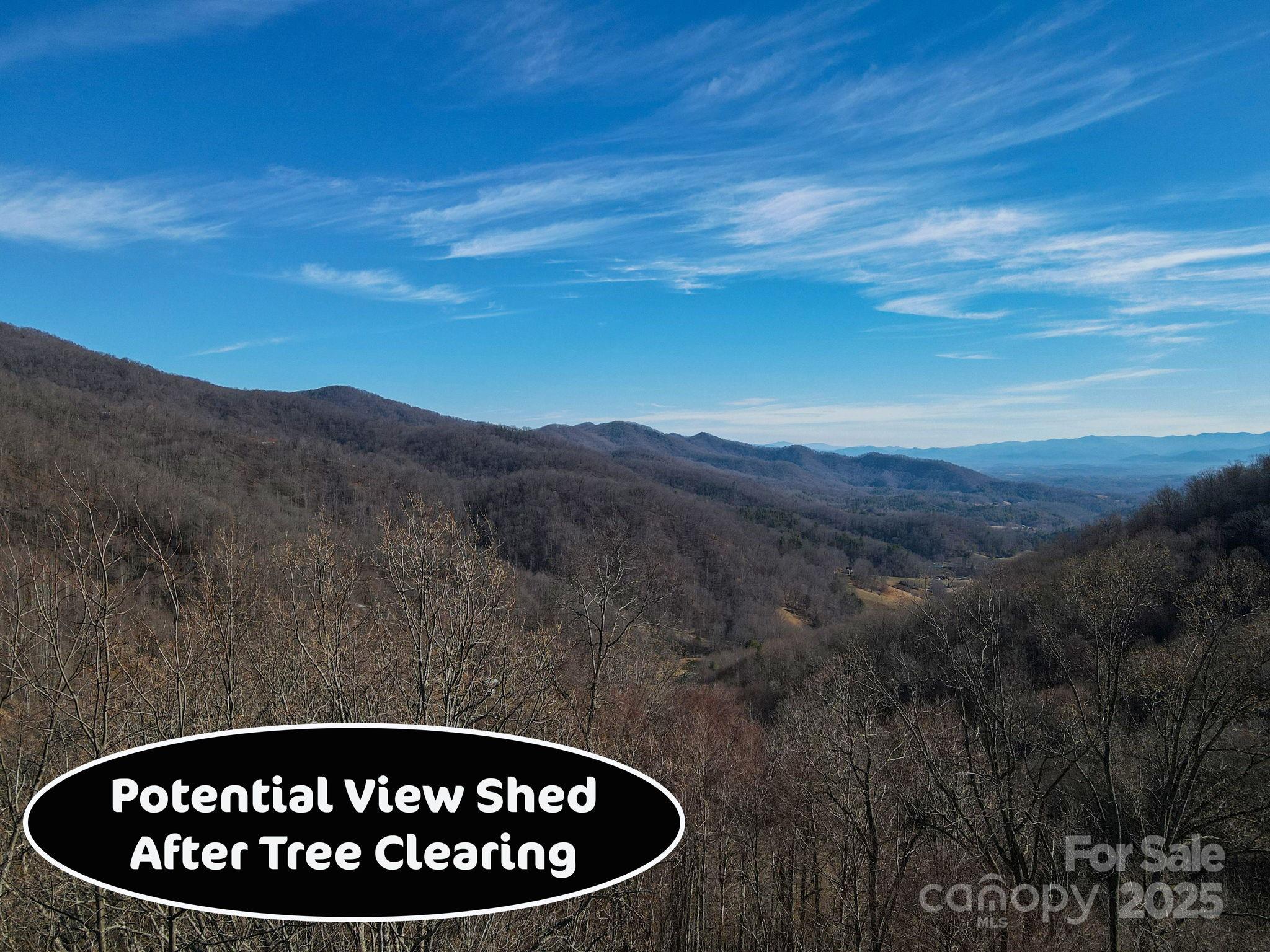 735 Whisper Mountain Drive Leicester NC 28748