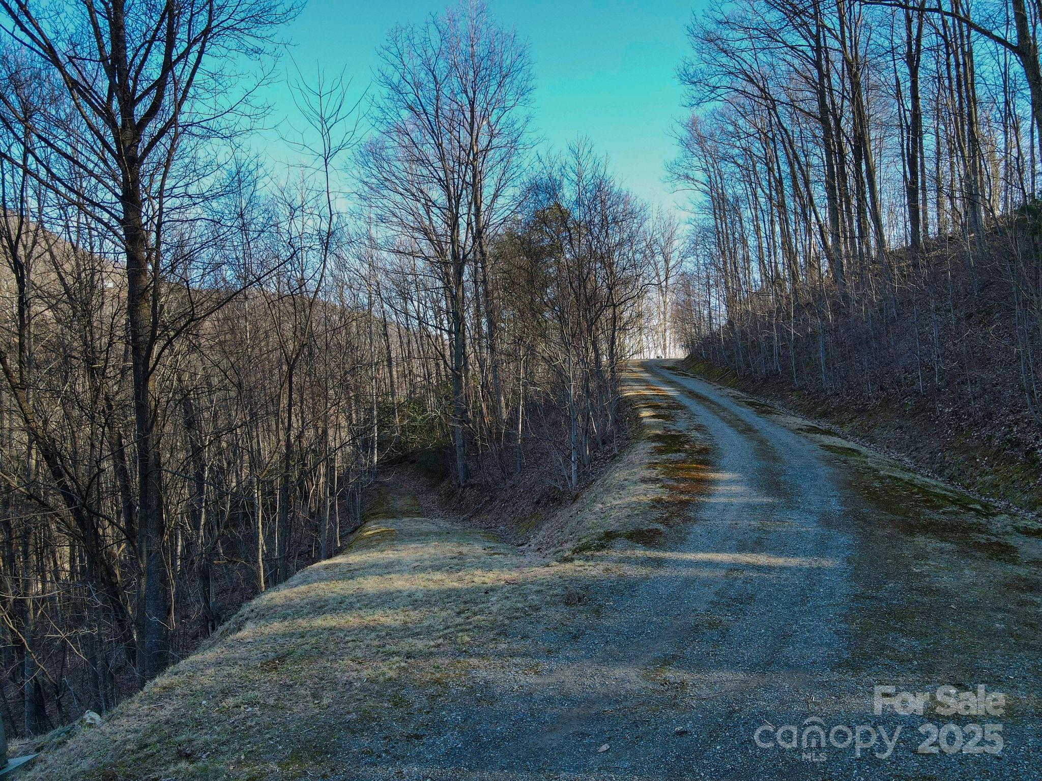 735 Whisper Mountain Drive Leicester NC 28748