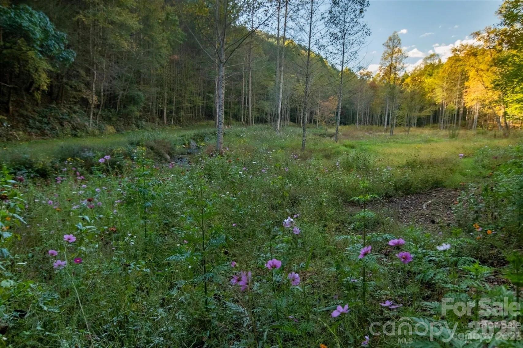 2108 River Hill Road Murphy NC 28906