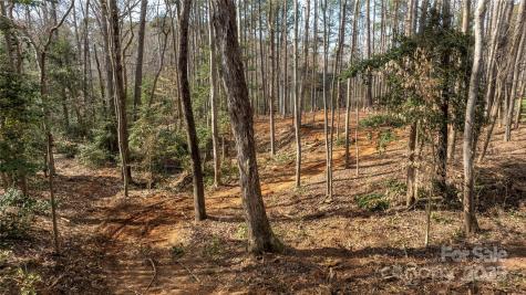 2301 Northview Harbour Drive Sherrills Ford NC 28673