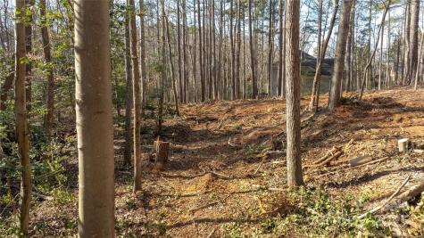 2301 Northview Harbour Drive Sherrills Ford NC 28673