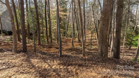 2301 Northview Harbour Drive Sherrills Ford NC 28673