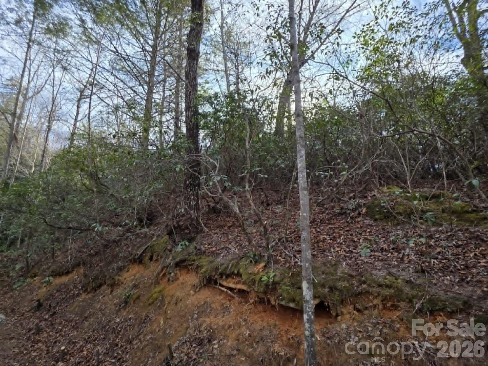Lot 9 Kerlee Lane Old Fort NC 28762