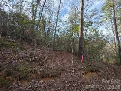 Lot 9 Kerlee Lane Old Fort NC 28762