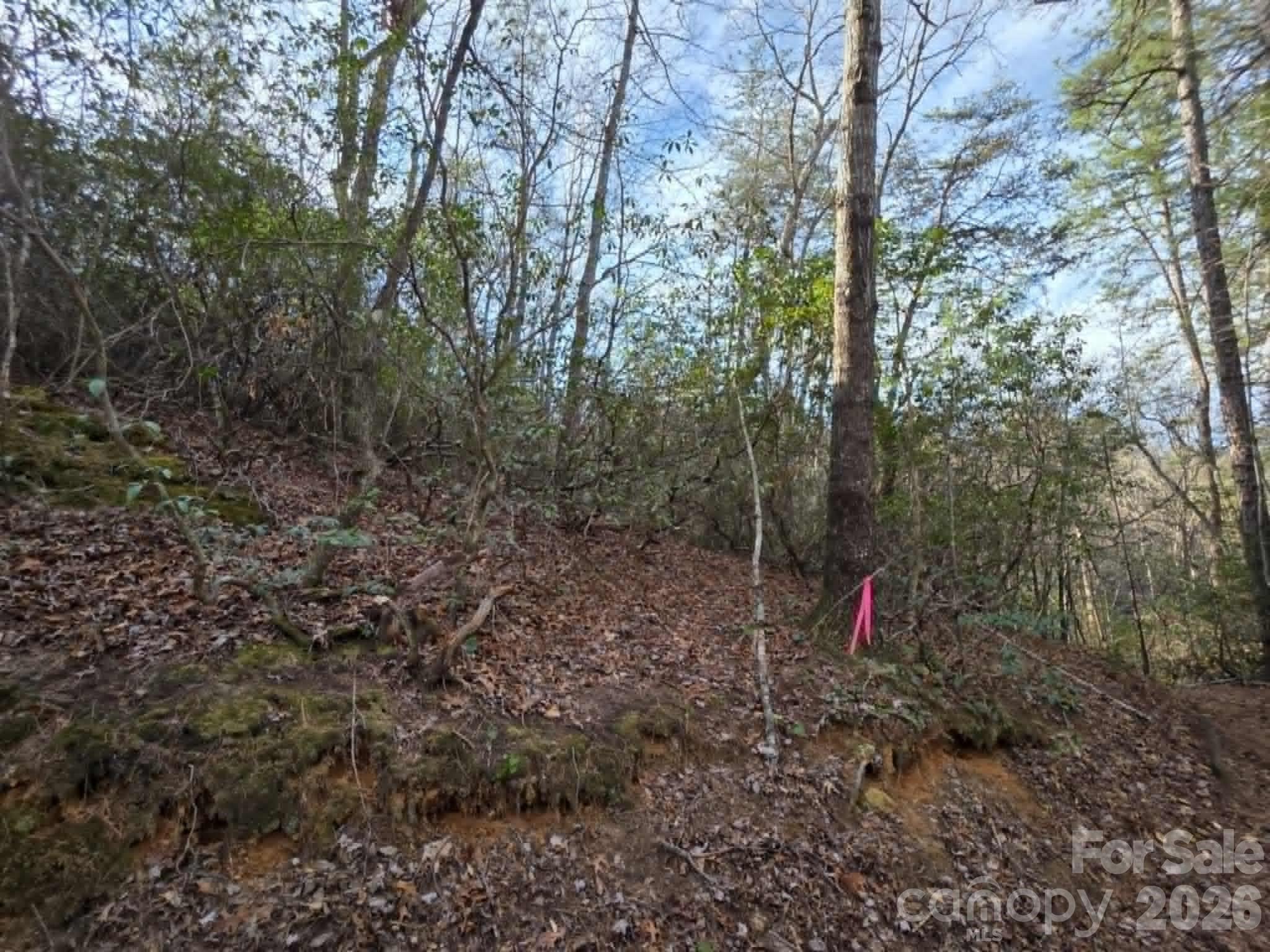 Lot 9 Kerlee Lane Old Fort NC 28762