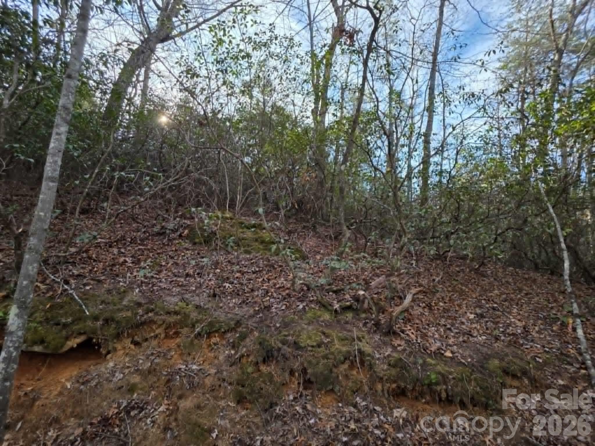 Lot 9 Kerlee Lane Old Fort NC 28762