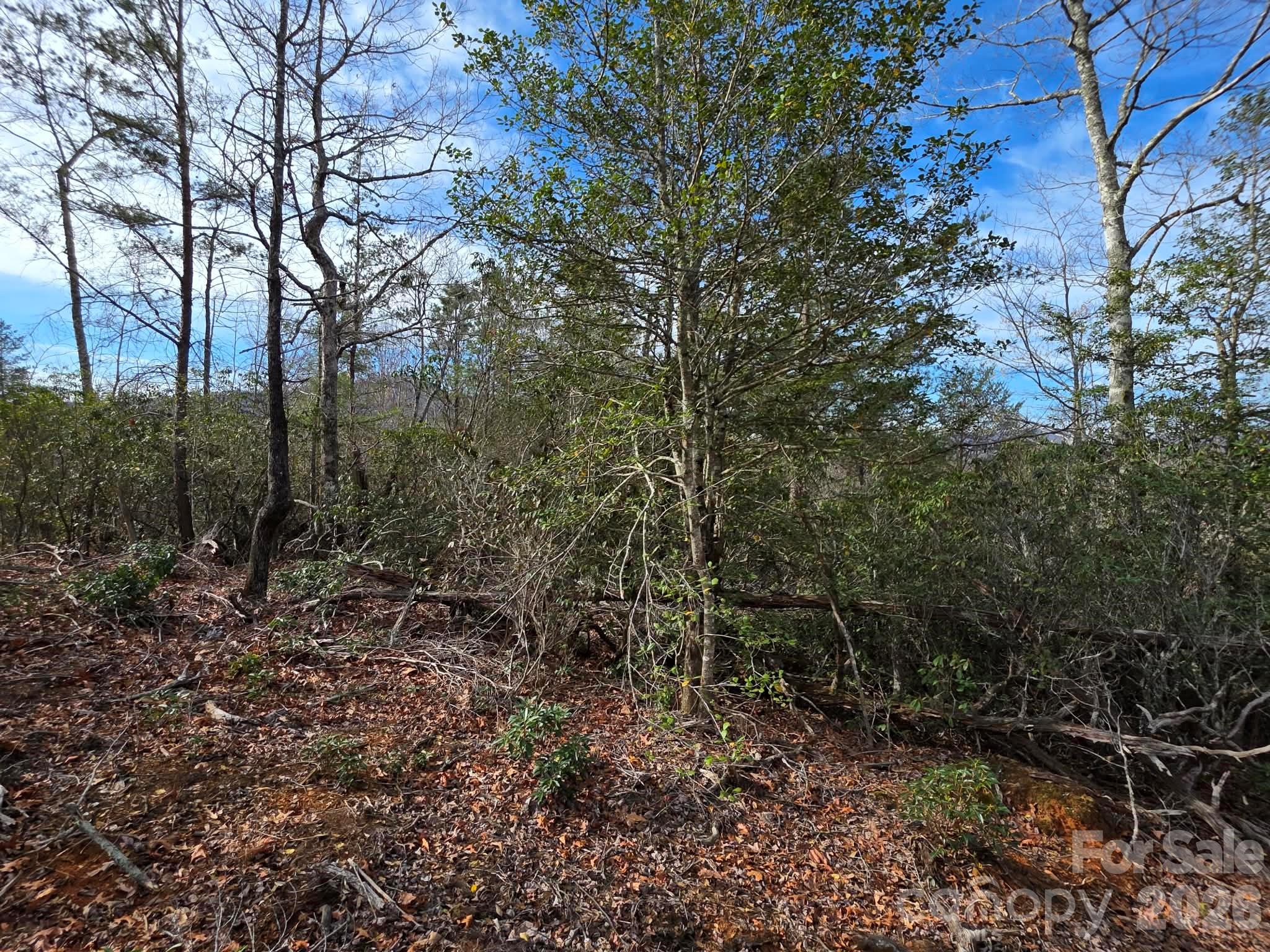 Lot 9 Kerlee Lane Old Fort NC 28762