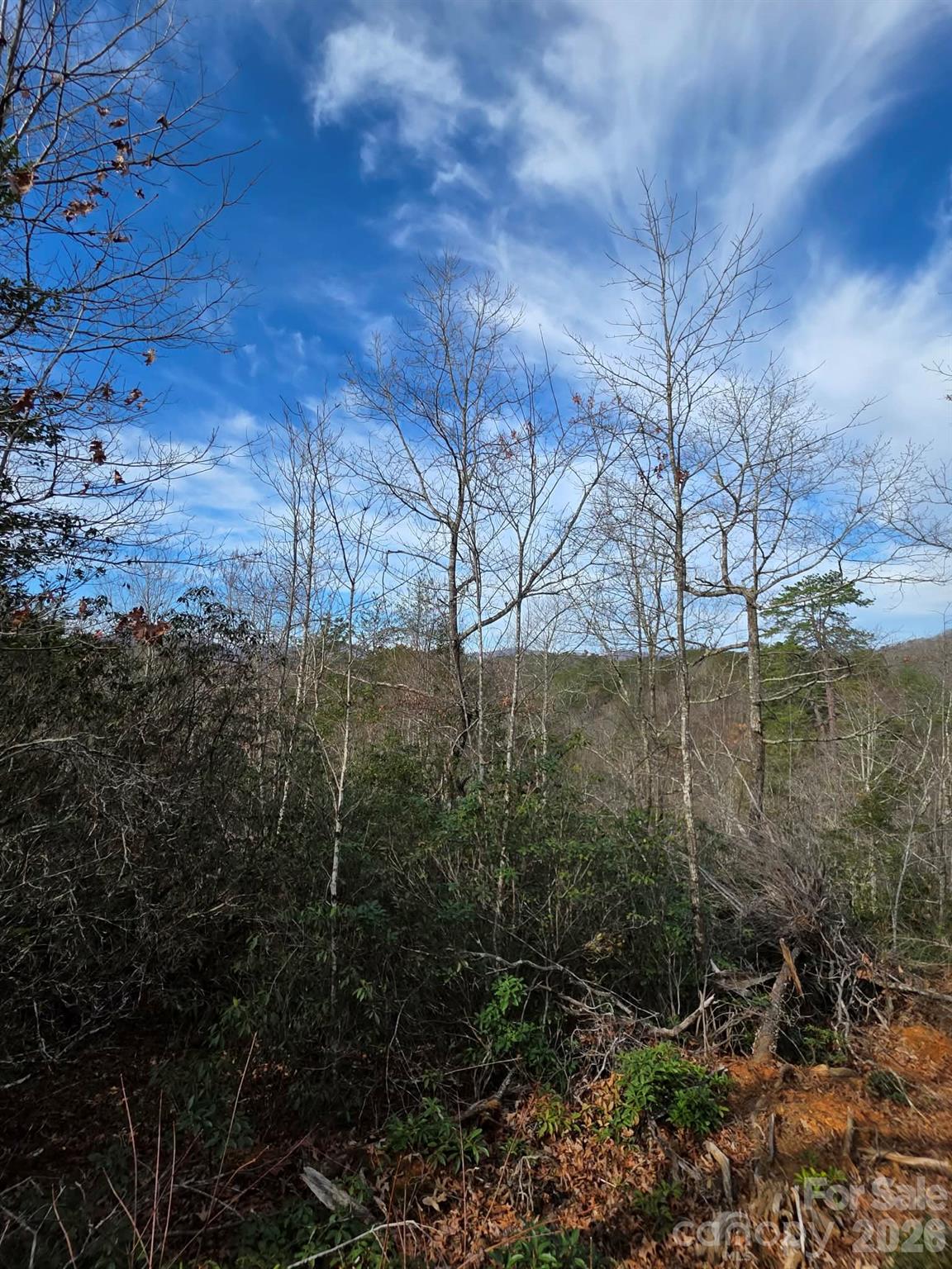 Lot 9 Kerlee Lane Old Fort NC 28762