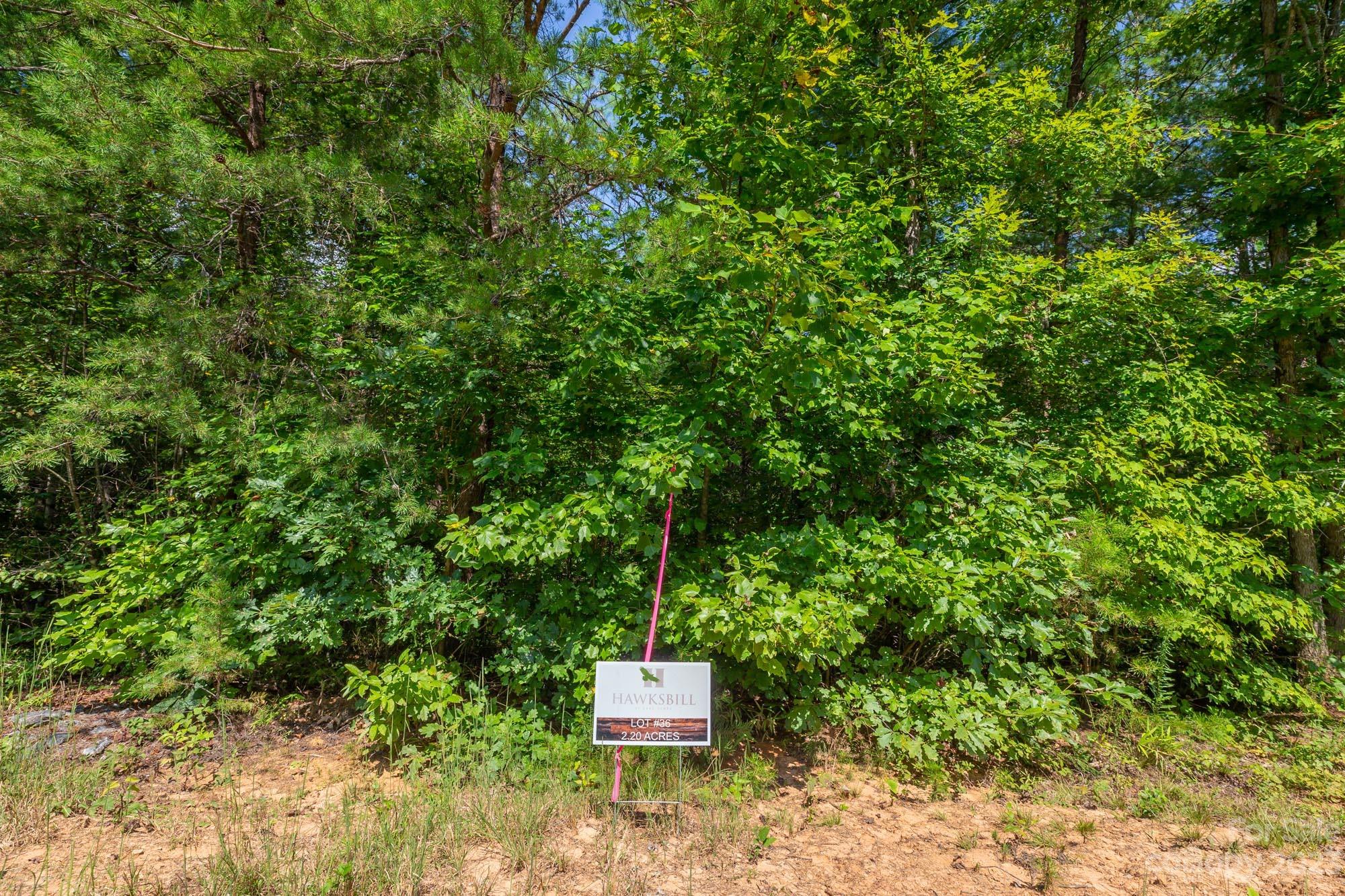 1113 Greene Court Morganton NC 28655
