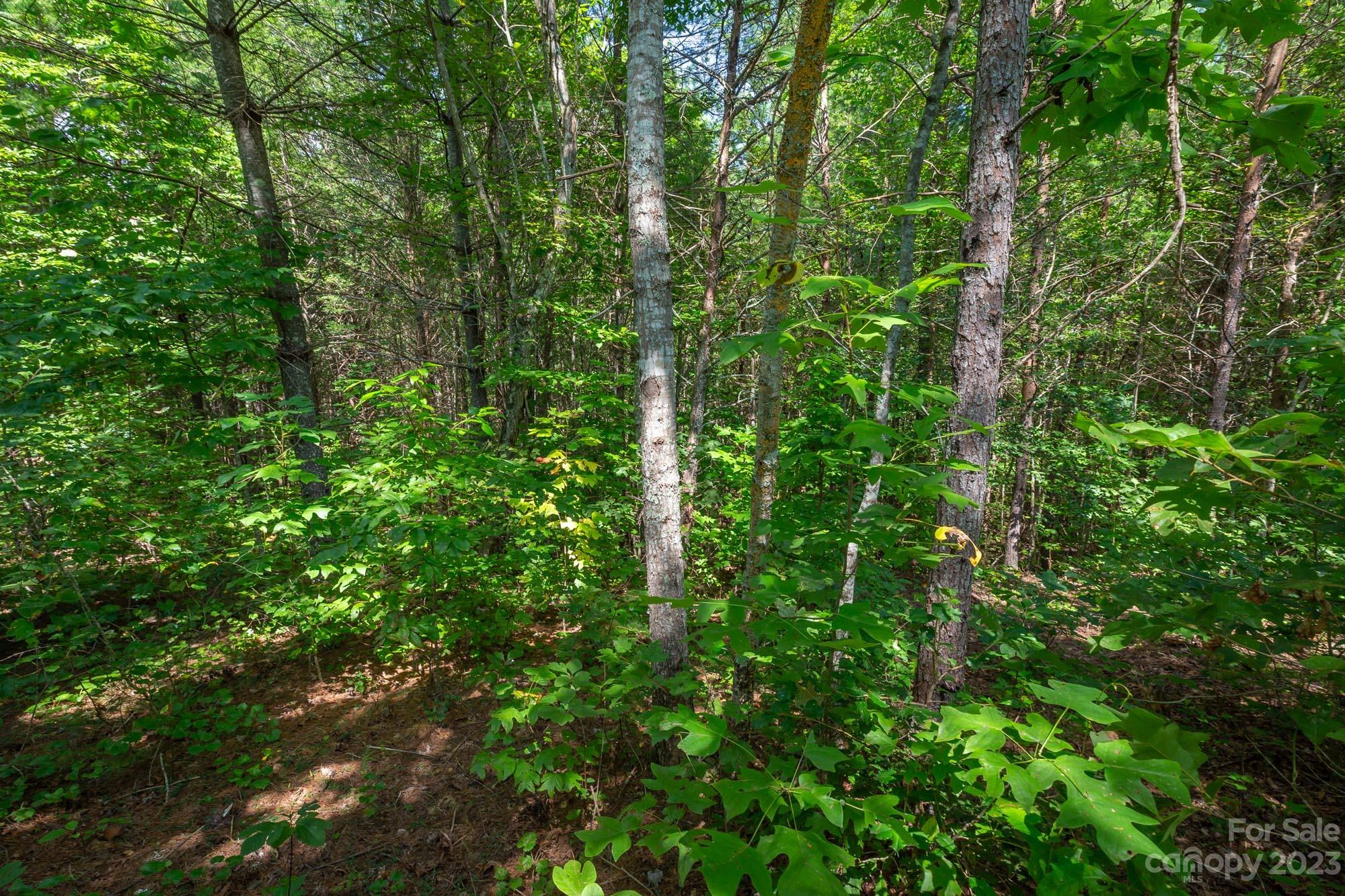 1113 Greene Court Morganton NC 28655