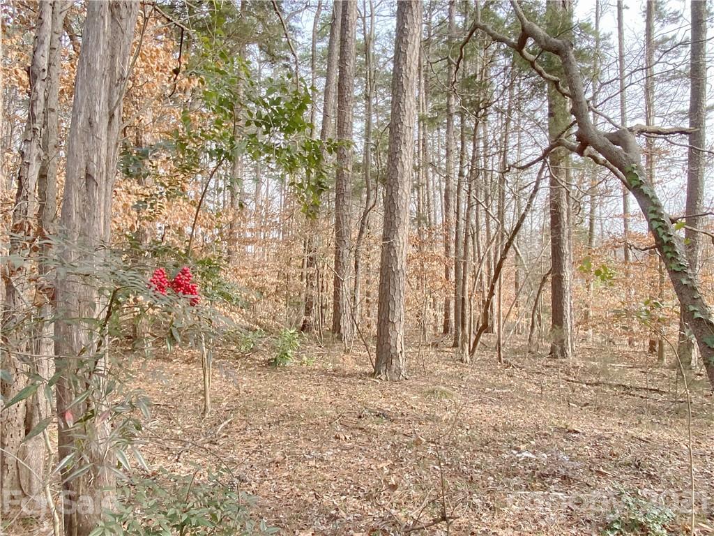 5148 Crestland Avenue Charlotte NC 28269