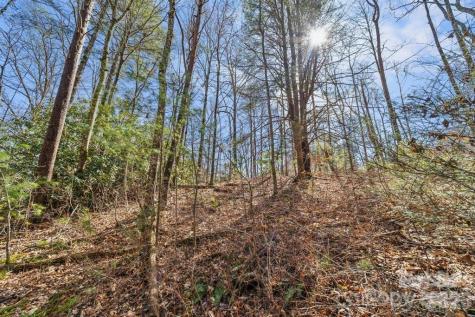 99999 Mill Road Asheville NC 28805
