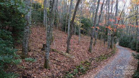 Lt 7 Buck Knob Cullowhee NC 28723