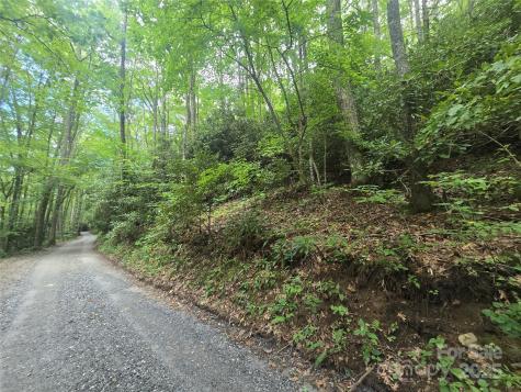 Lt 7 Buck Knob Cullowhee NC 28723