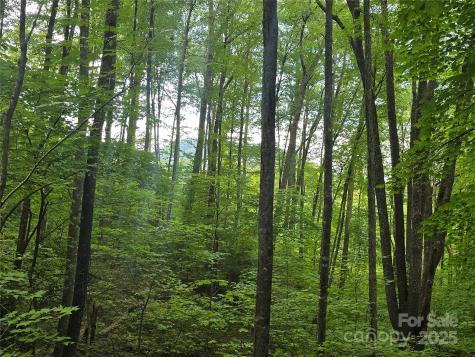 Lt 7 Buck Knob Cullowhee NC 28723