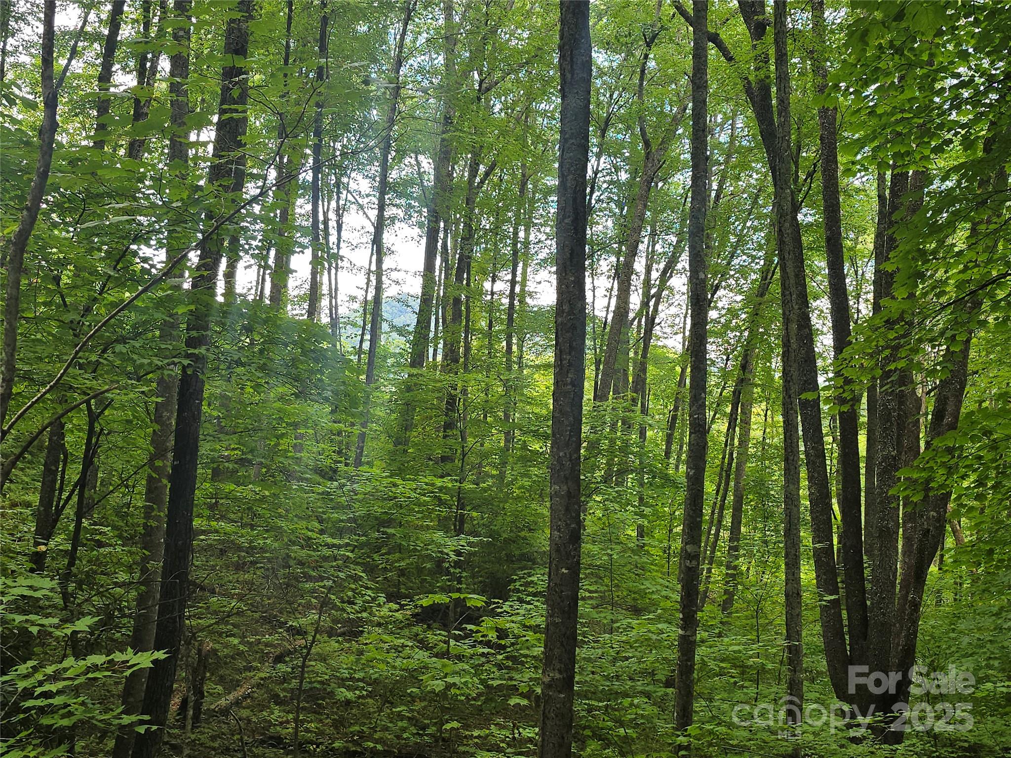 Lt 7 Buck Knob Cullowhee NC 28723