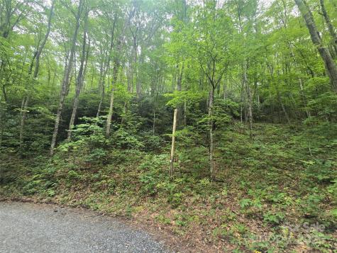 Lt 7 Buck Knob Cullowhee NC 28723
