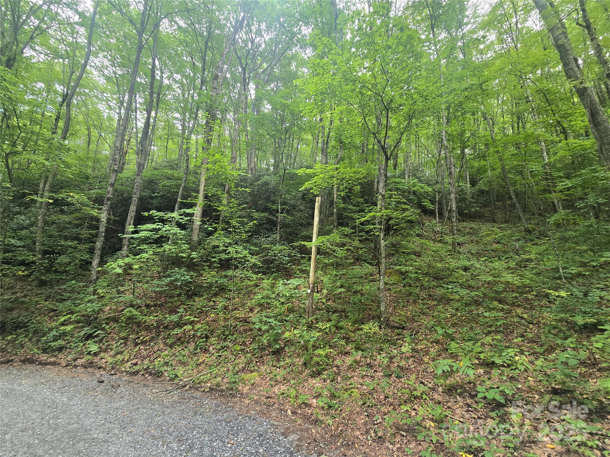 Lt 7 Buck Knob Cullowhee NC 28723