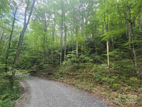 Lt 7 Buck Knob Cullowhee NC 28723