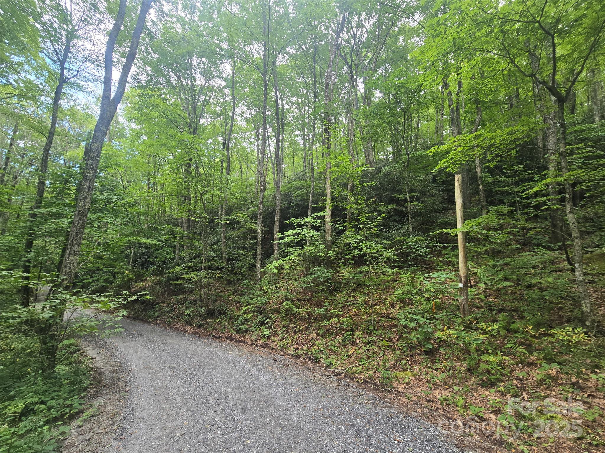 Lt 7 Buck Knob Cullowhee NC 28723