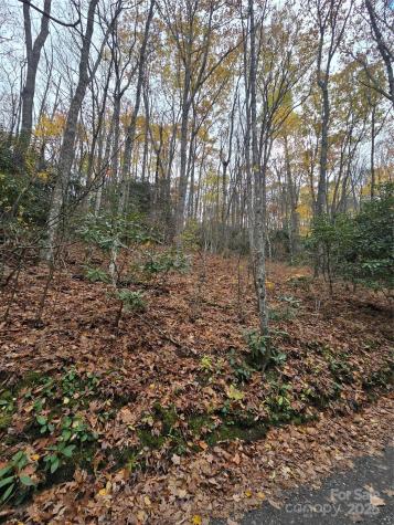 Lt 7 Buck Knob Cullowhee NC 28723