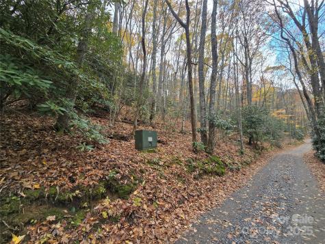 Lt 7 Buck Knob Cullowhee NC 28723