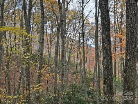 Lt 7 Buck Knob Cullowhee NC 28723