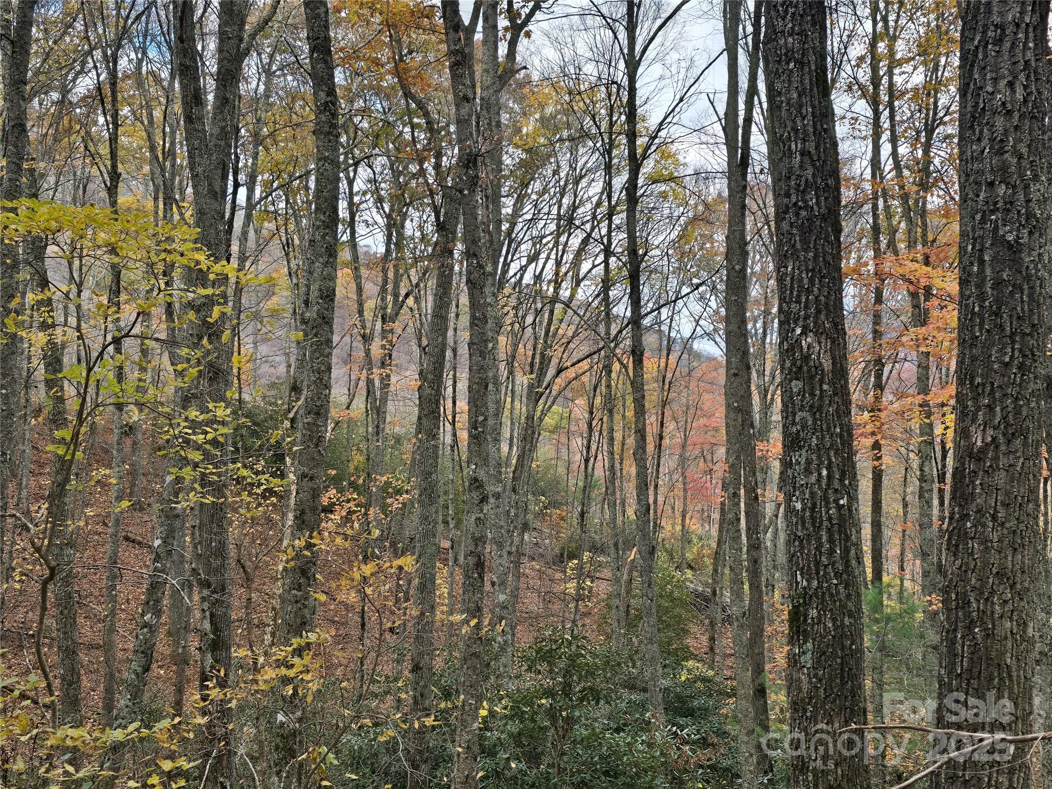 Lt 7 Buck Knob Cullowhee NC 28723