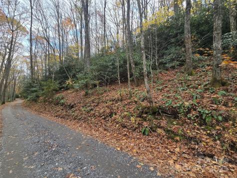 Lt 7 Buck Knob Cullowhee NC 28723