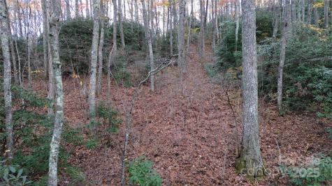 Lt 7 Buck Knob Cullowhee NC 28723