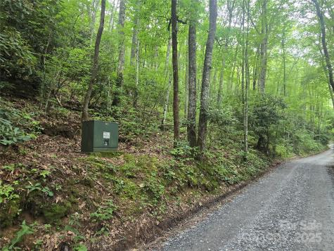 Lt 7 Buck Knob Cullowhee NC 28723