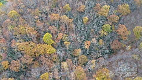 Lt 7 Buck Knob Cullowhee NC 28723