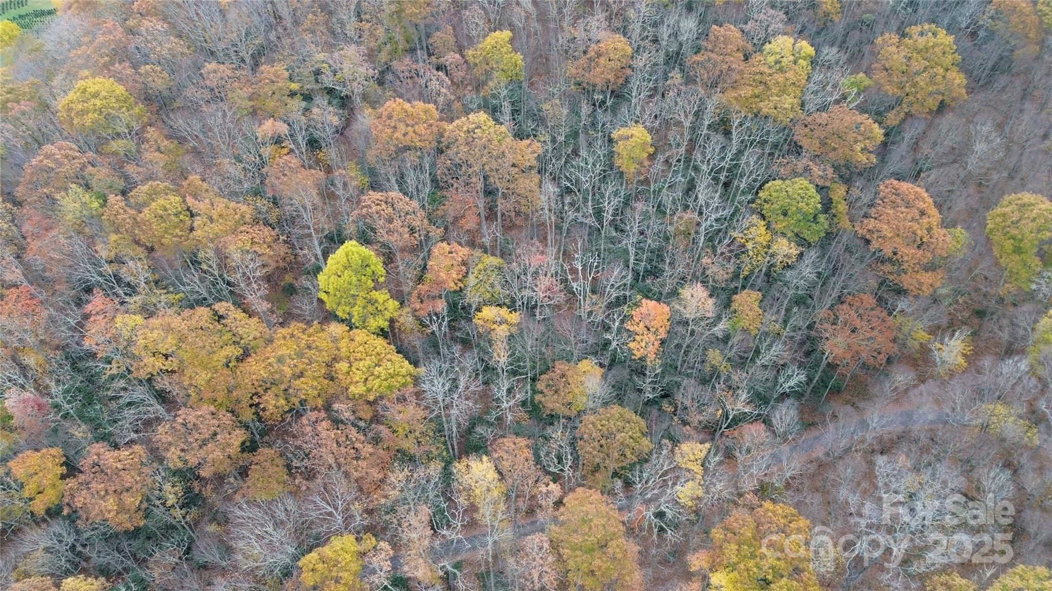 Lt 7 Buck Knob Cullowhee NC 28723