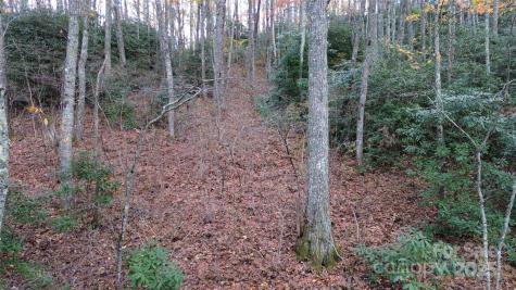 Lt 7 Buck Knob Cullowhee NC 28723
