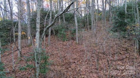 Lt 7 Buck Knob Cullowhee NC 28723