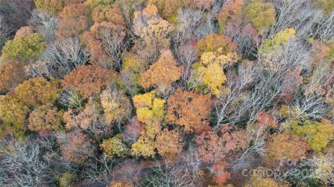 Lt 7 Buck Knob Cullowhee NC 28723
