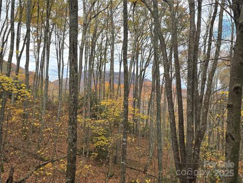 Lt 7 Buck Knob Cullowhee NC 28723