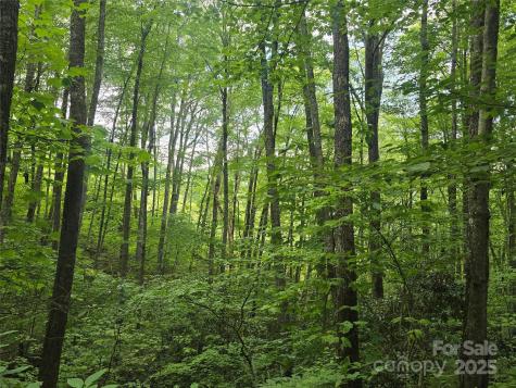 Lt 7 Buck Knob Cullowhee NC 28723