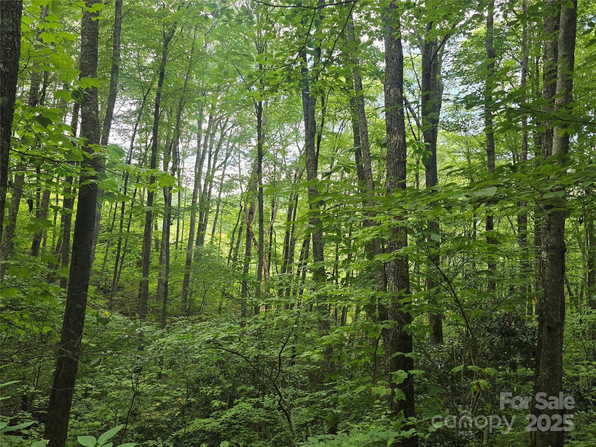 Lt 7 Buck Knob Cullowhee NC 28723