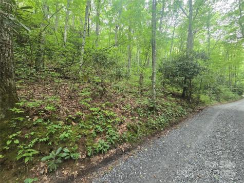 Lt 7 Buck Knob Cullowhee NC 28723