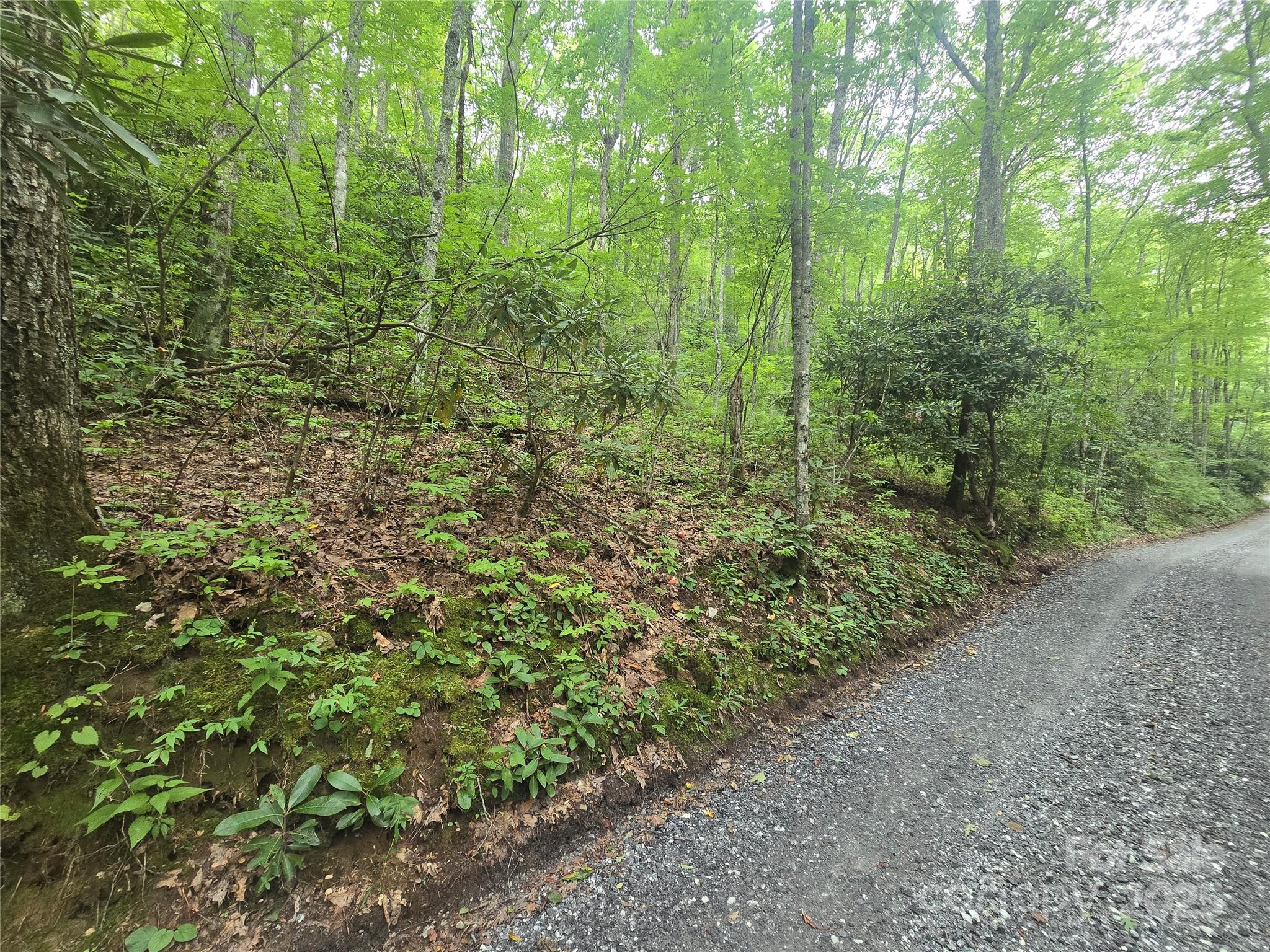 Lt 7 Buck Knob Cullowhee NC 28723
