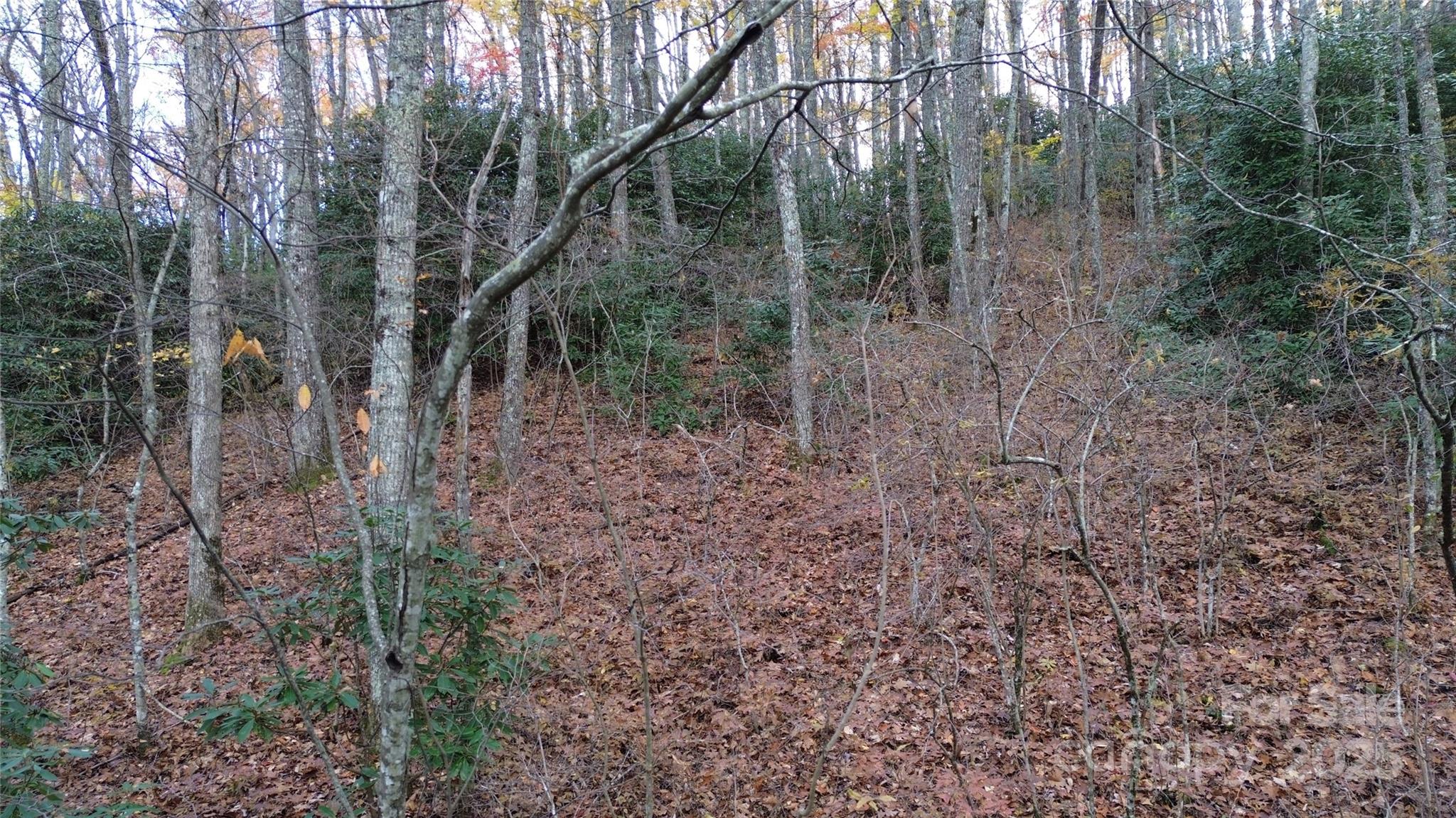 Lt 7 Buck Knob Cullowhee NC 28723