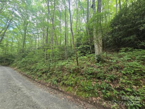 Lt 7 Buck Knob Cullowhee NC 28723