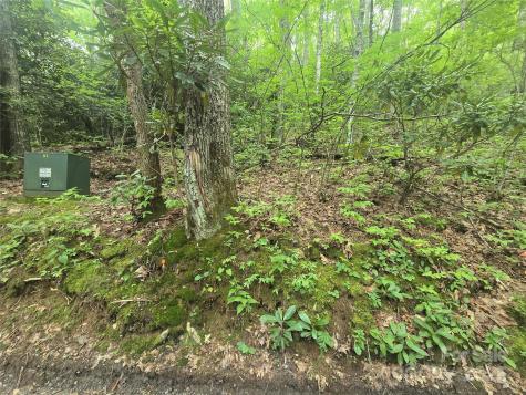 Lt 7 Buck Knob Cullowhee NC 28723
