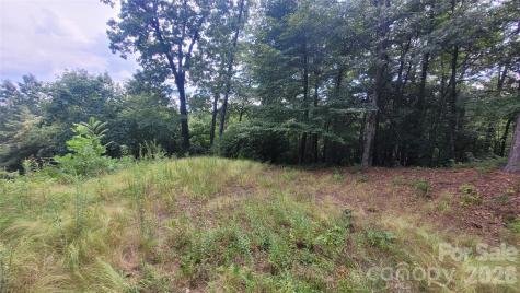 542 & 545a Mckenzie Way S Old Fort NC 28762