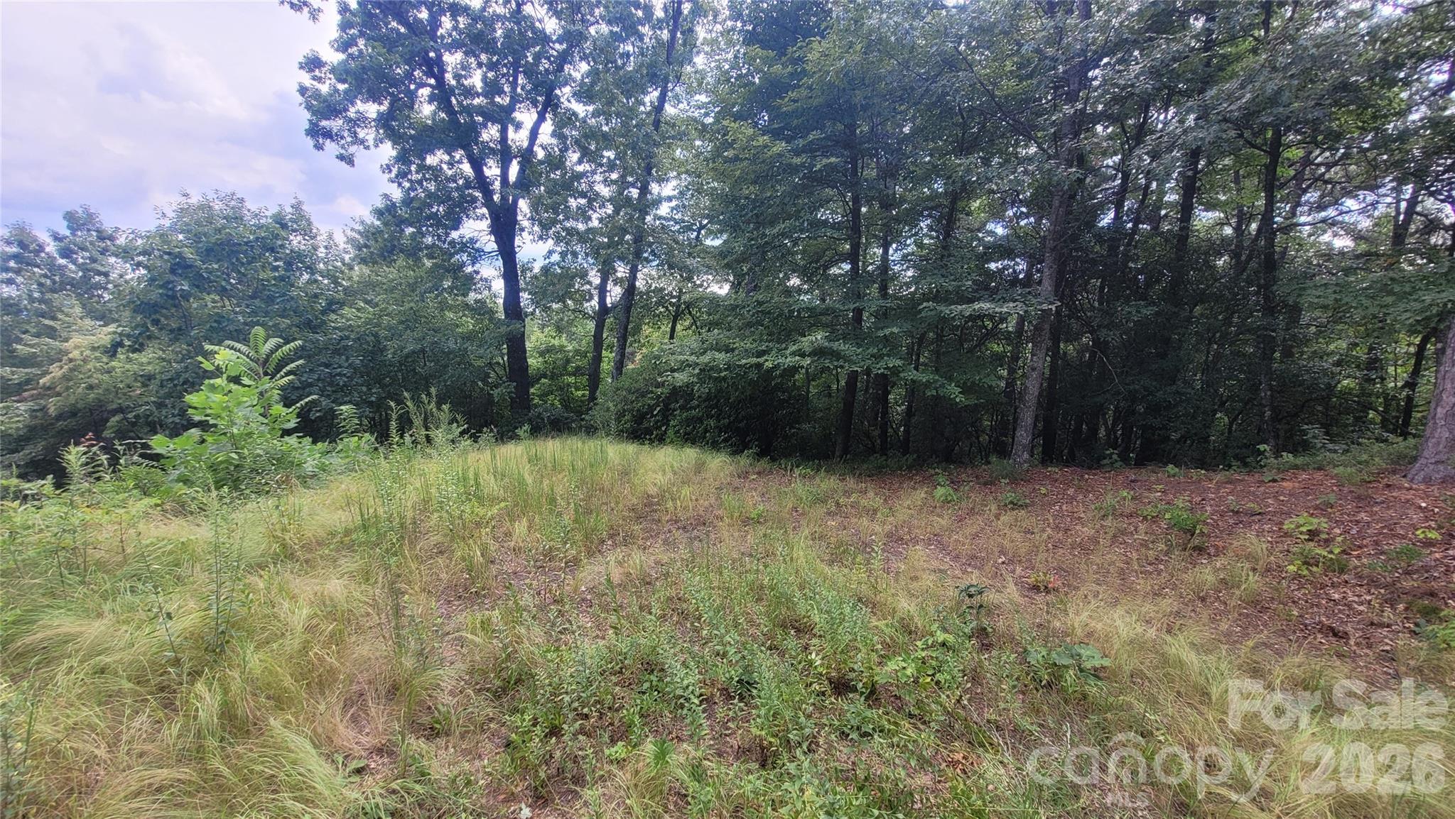 542 & 545a Mckenzie Way S Old Fort NC 28762