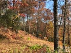 542 & 545a Mckenzie Way S Old Fort NC 28762