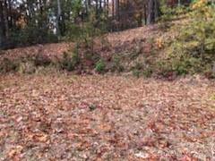 542 & 545a Mckenzie Way S Old Fort NC 28762