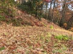 542 & 545a Mckenzie Way S Old Fort NC 28762