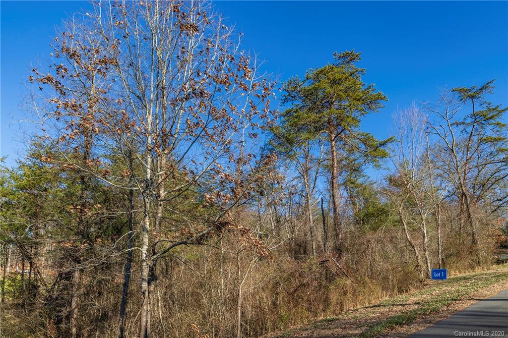 102 Saddle Ridge Drive Alexander NC 28701